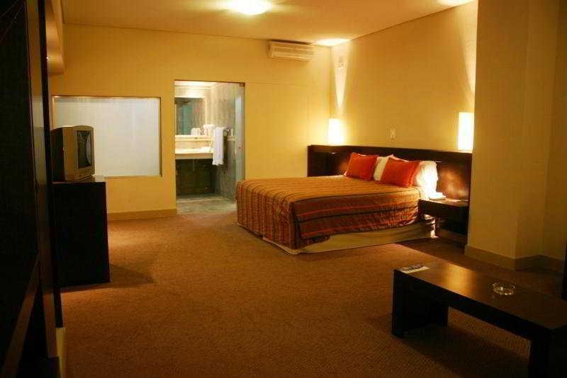 Hotel Cordon Del Plata メンドーサ エクステリア 写真